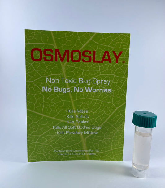 Osmoslay Value Refill Pack
